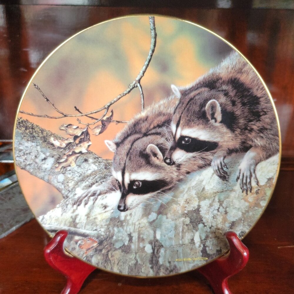 "Fascination" Collectable Plate  Carol Brenders Our Woodland Friends Collection